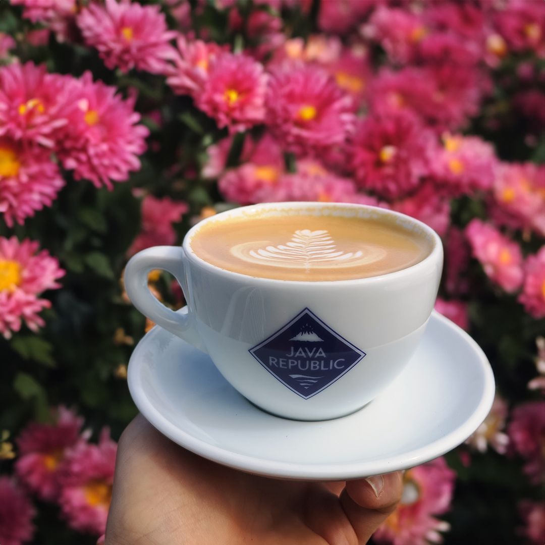 Difference Between Latte & Cappuccino - National Latte Day – Java Republic